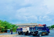 San lấp mặt bằng Tại Quận 8